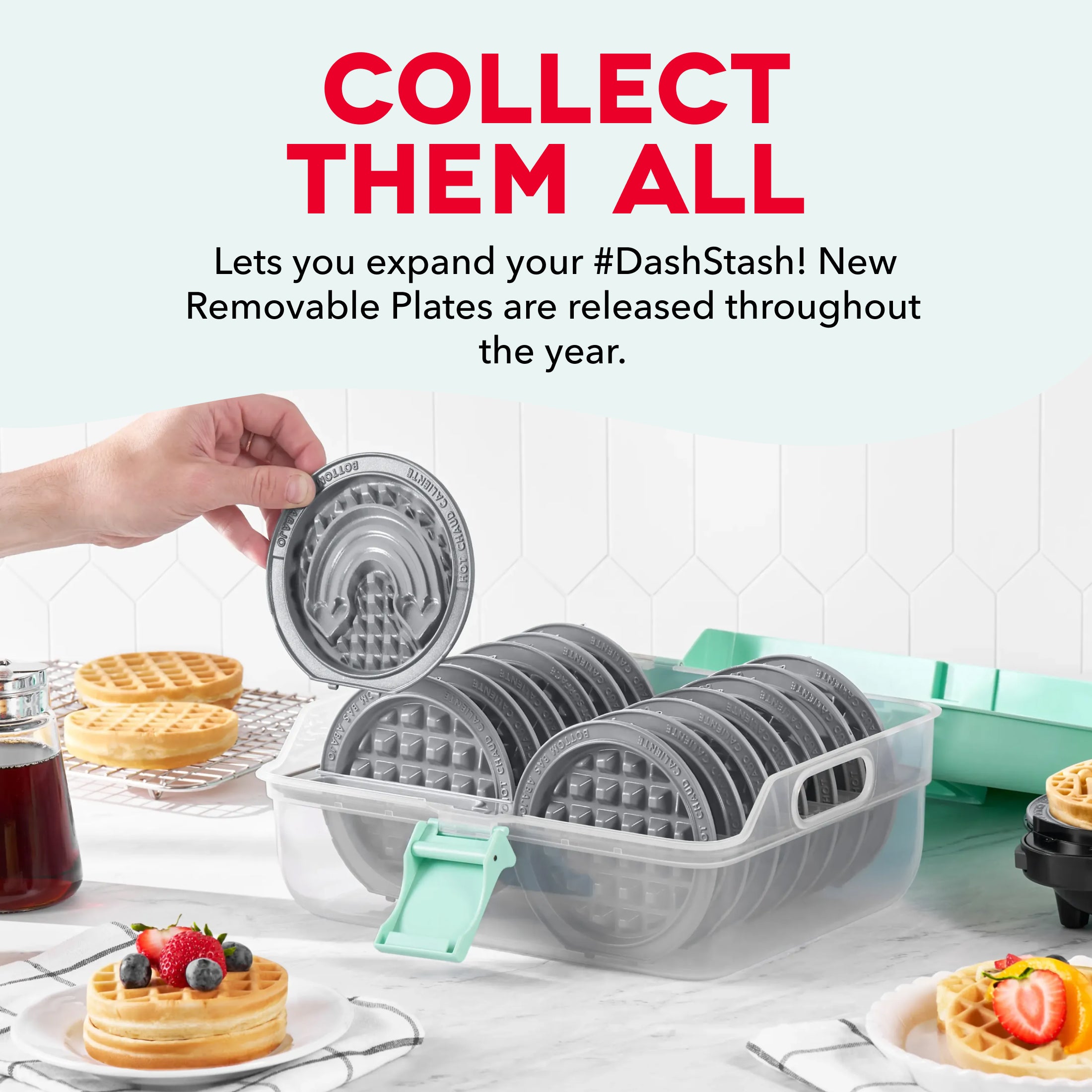 MultiMaker® Mini System: Removable Plate Storage Case